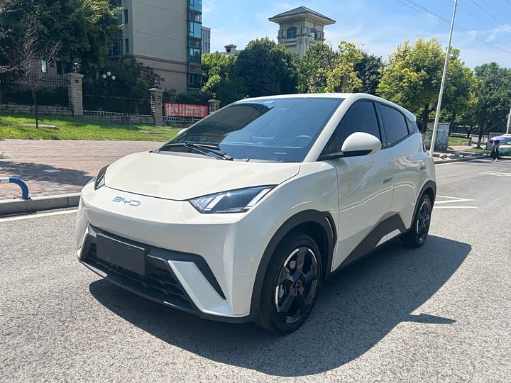 BYD Seagull, 2023 — купить в Оренбурге под ключ