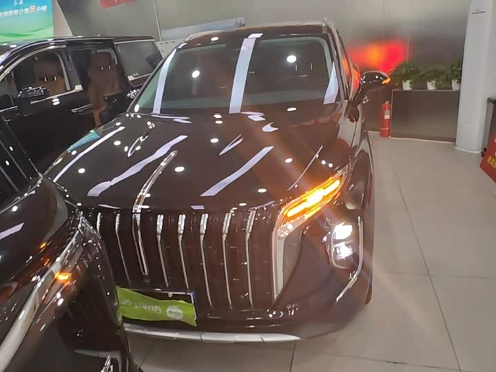 Hongqi HS7 Hybrid, 2024 — фото 3 из 9