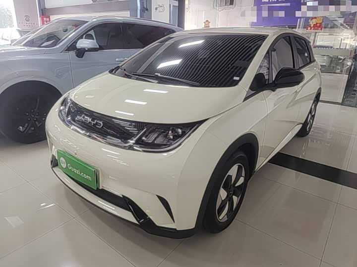 BYD Dolphin, 2025 — купить в Владимире под ключ