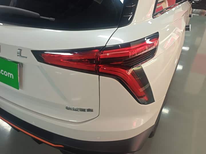 Haval F7 (Monster), 2022 — фото 8 из 9