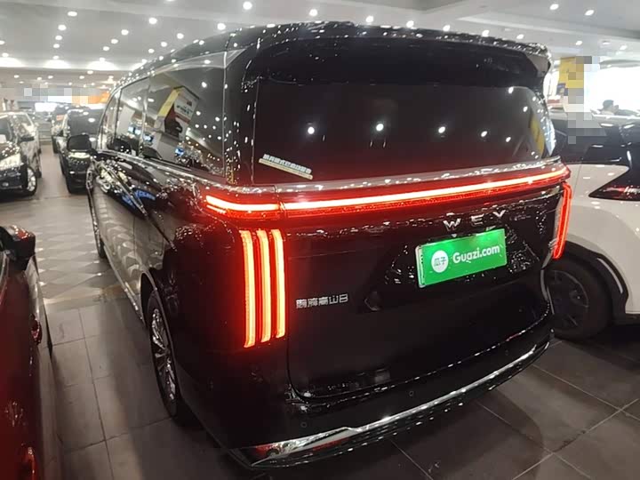 Wey 80 Hybrid, 2025 — фото 5 из 9