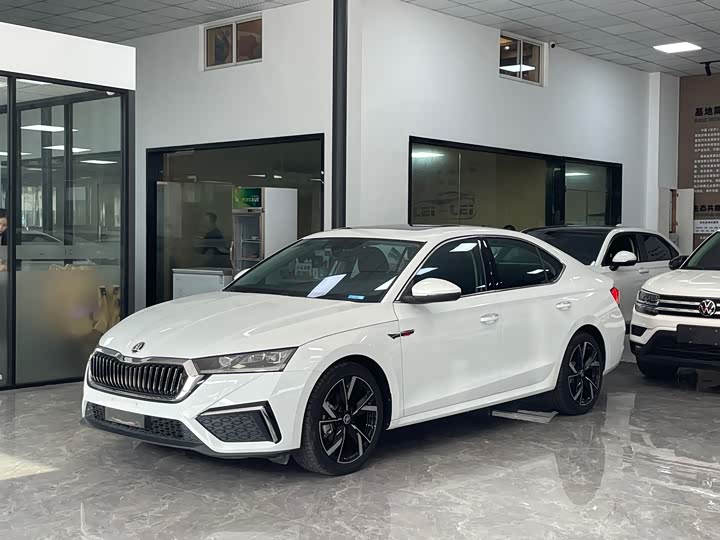 Skoda Octavia Pro, 2023 — купить в Перми под ключ