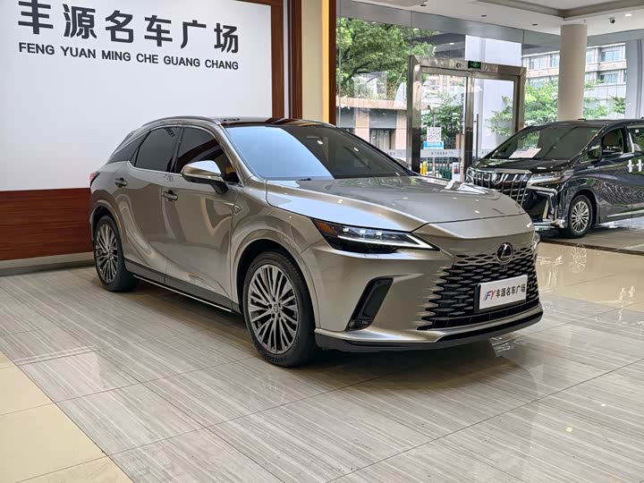 Lexus RX, 2024 — фото 3 из 9