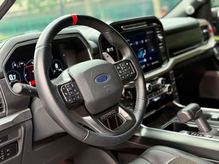 Ford F-150 Raptor, 2023 — фото 8 из 9