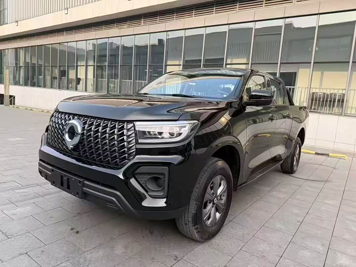 Great Wall Pao, 2024 — купить в Ярославле под ключ