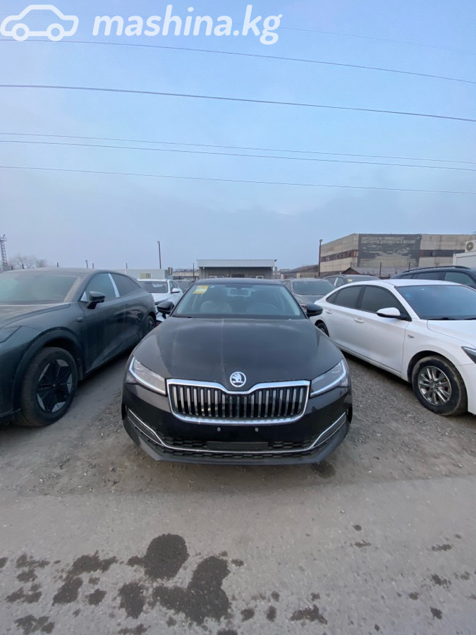 Skoda Superb, 2025 — фото 6 из 6