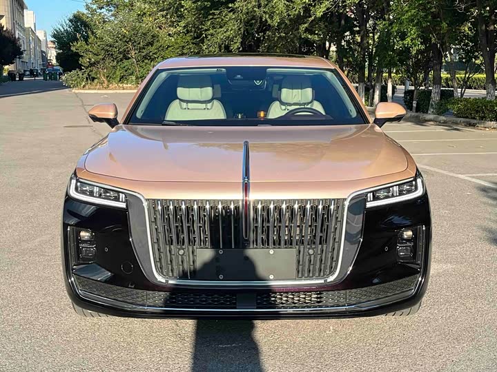 Hongqi H9, 2022 — фото 2 из 9