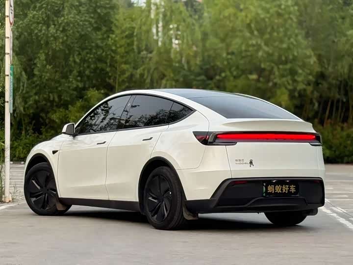 Tesla Model Y, 2025 — фото 6 из 9