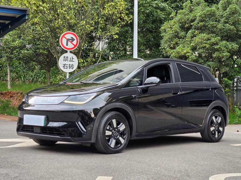 BYD Dolphin, 2025 — купить в Ульяновске под ключ