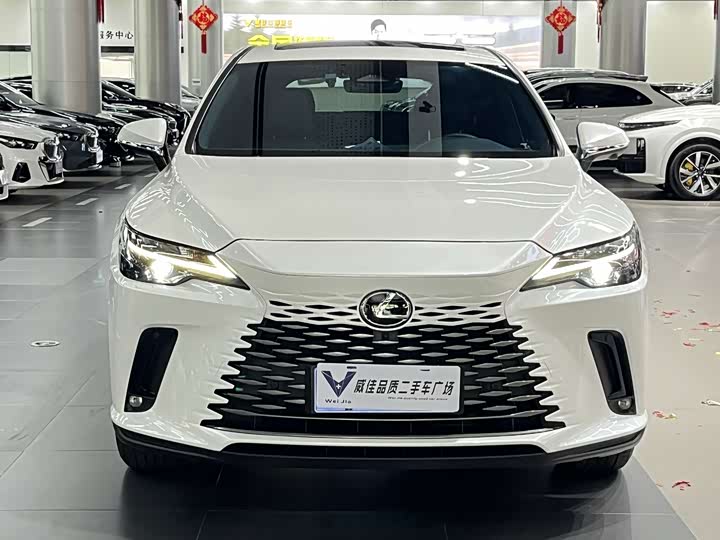 Lexus RX, 2024 — фото 2 из 9