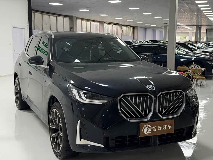 BMW X3, 2025 — фото 3 из 9