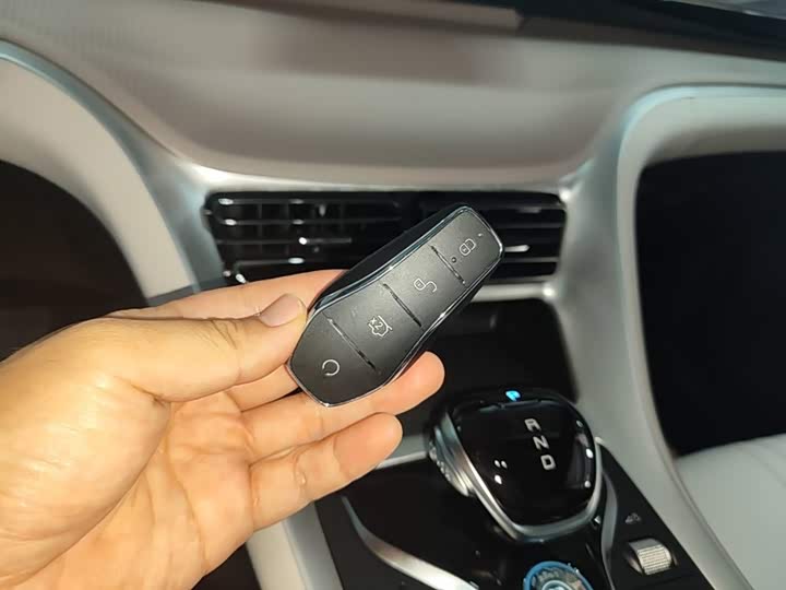 BYD Song Pro Hybrid, 2025 — фото 9 из 9