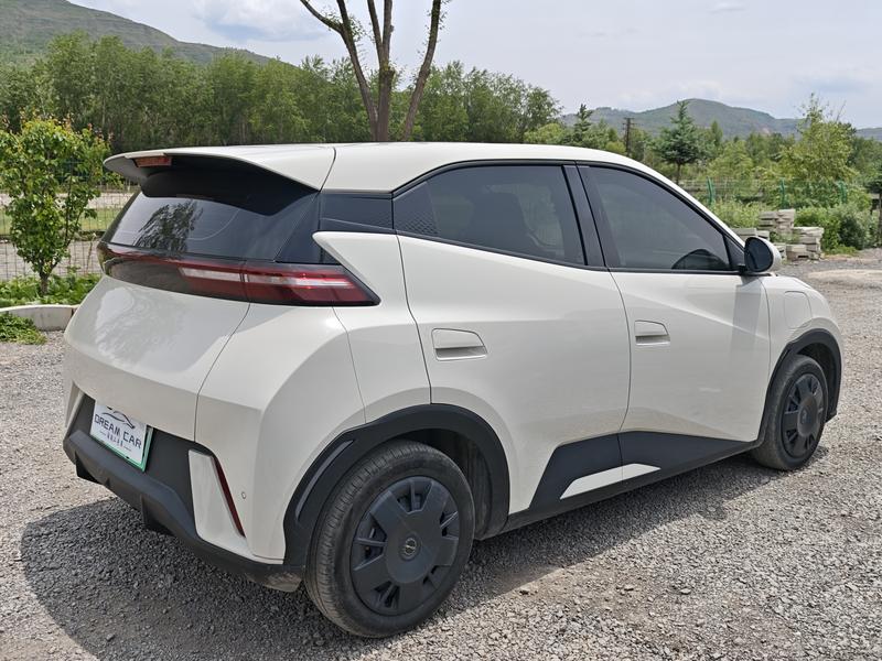 BYD Seagull, 2023 — фото 7 из 11