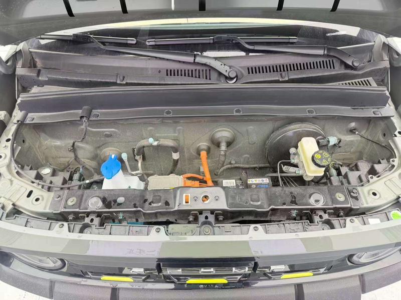 Geely Galaxy Panda Mini, 2024 — фото 7 из 12