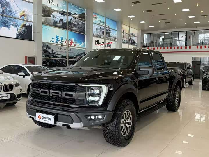 Ford F-150 Raptor, 2022 — фото 3 из 9