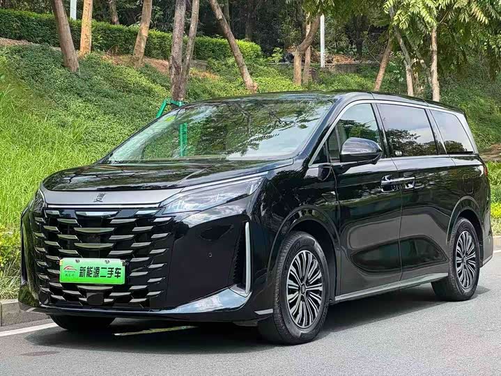 BYD Xia, 2025 — купить в Смоленске под ключ