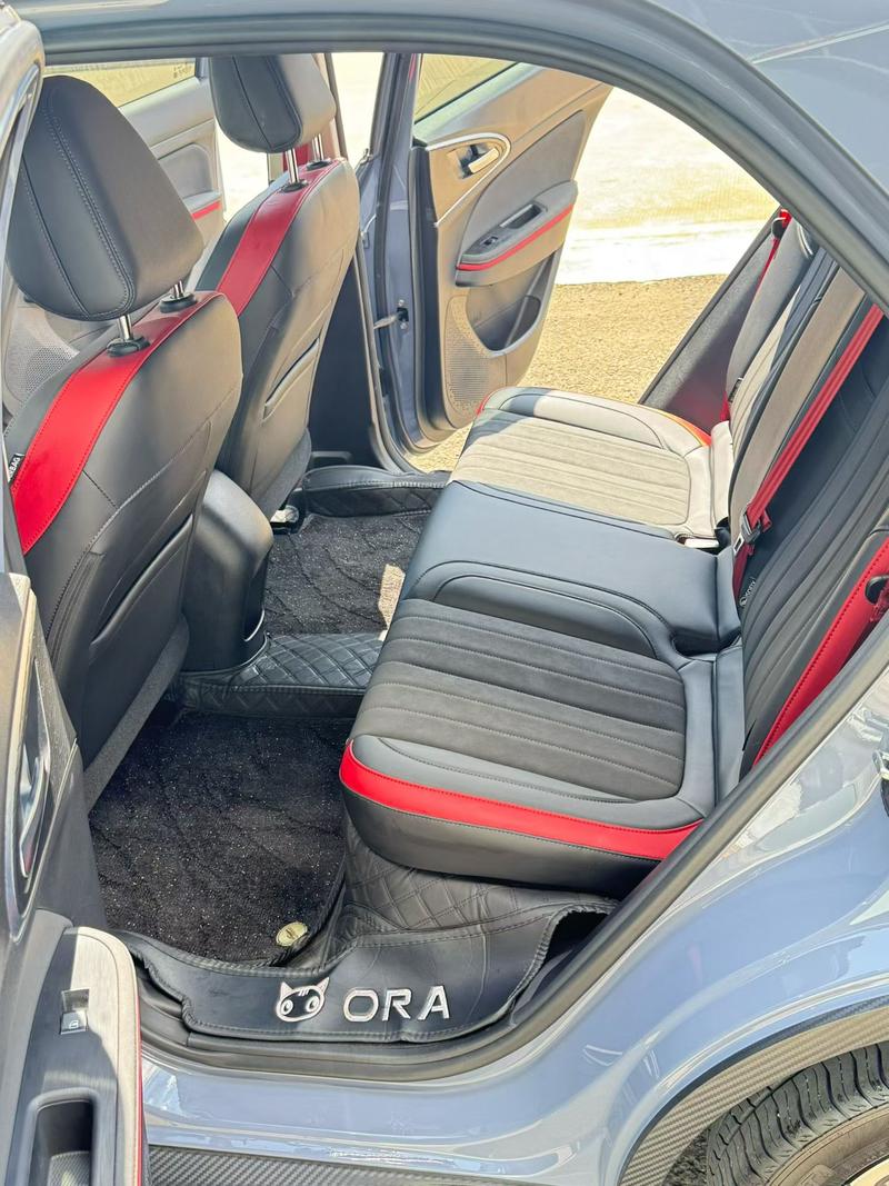 Ora Good Cat GT (03 GT), 2025 — фото 8 из 9