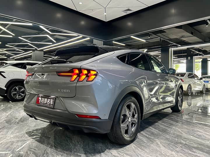 Ford Mustang Mach-E, 2022 — фото 5 из 9