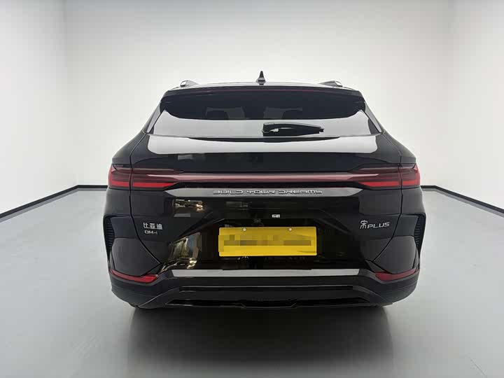 BYD Song Plus Hybrid/EV, 2024 — фото 5 из 9