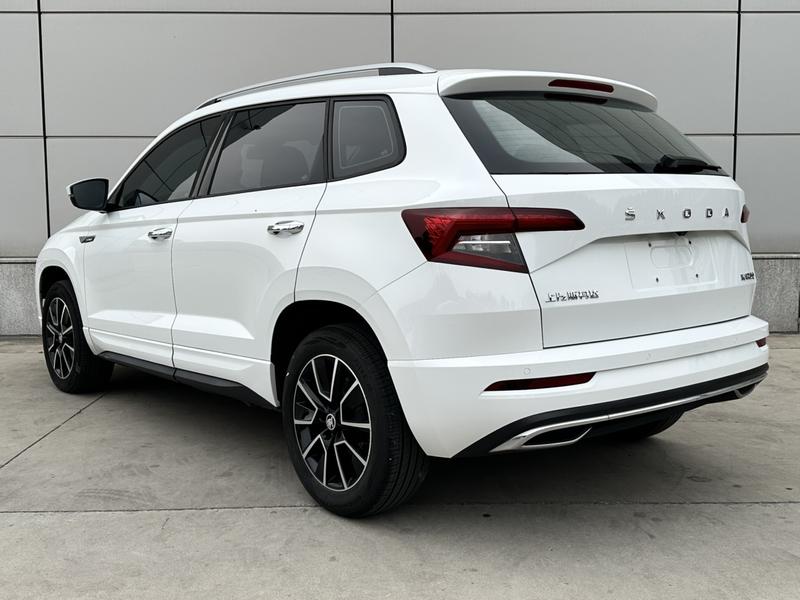 Skoda Karoq, 2024 — фото 4 из 12