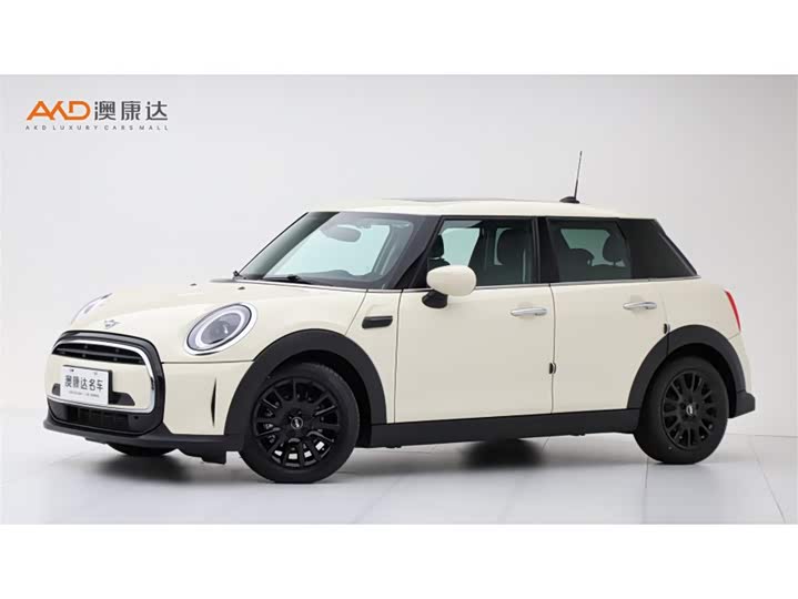 Mini Mini, 2021 — купить в Самаре под ключ