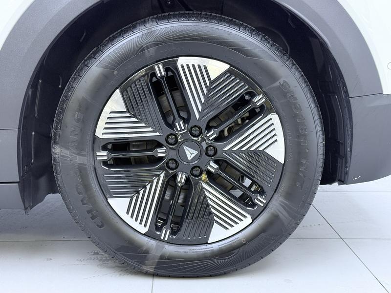 BYD Tang Hybrid/EV, 2025 — фото 11 из 12