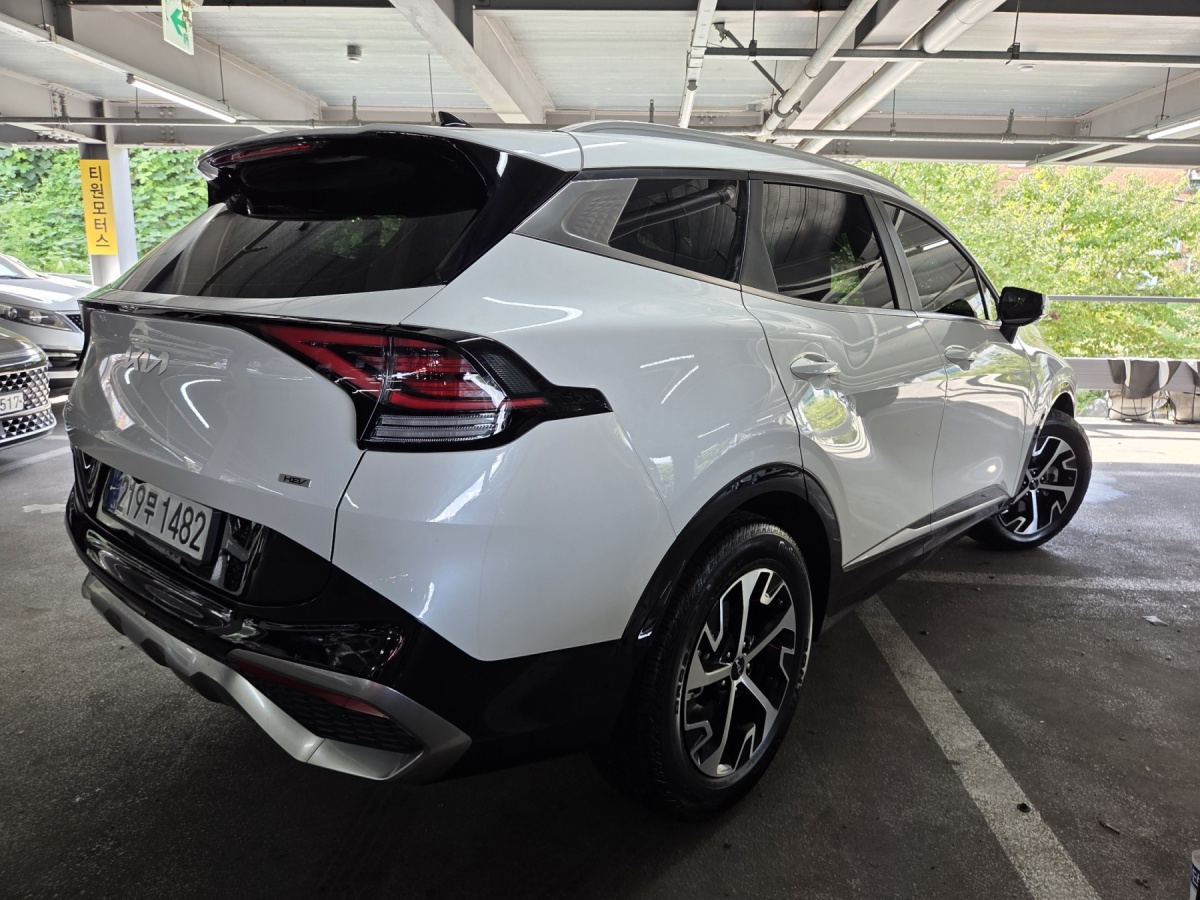 Kia Sportage, 2024 — фото 4 из 12