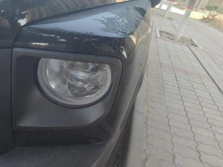 Haval Raptor Hybrid, 2024 — фото 5 из 9