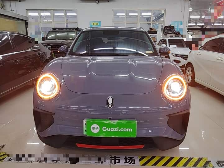 Ora Good Cat GT (03 GT), 2021 — фото 3 из 9