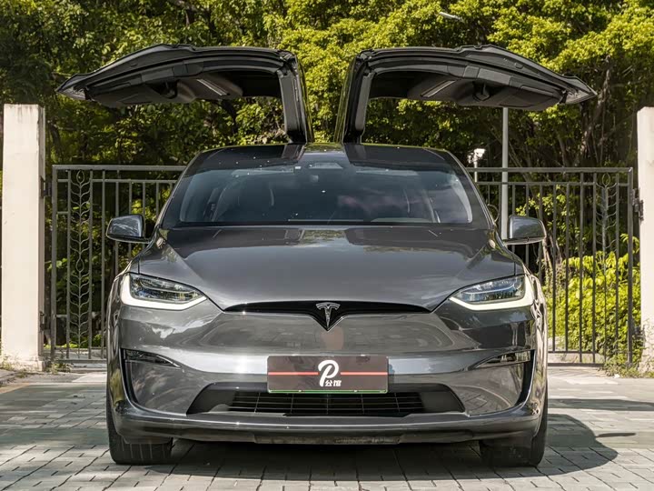 Tesla Model X, 2024 — фото 2 из 9