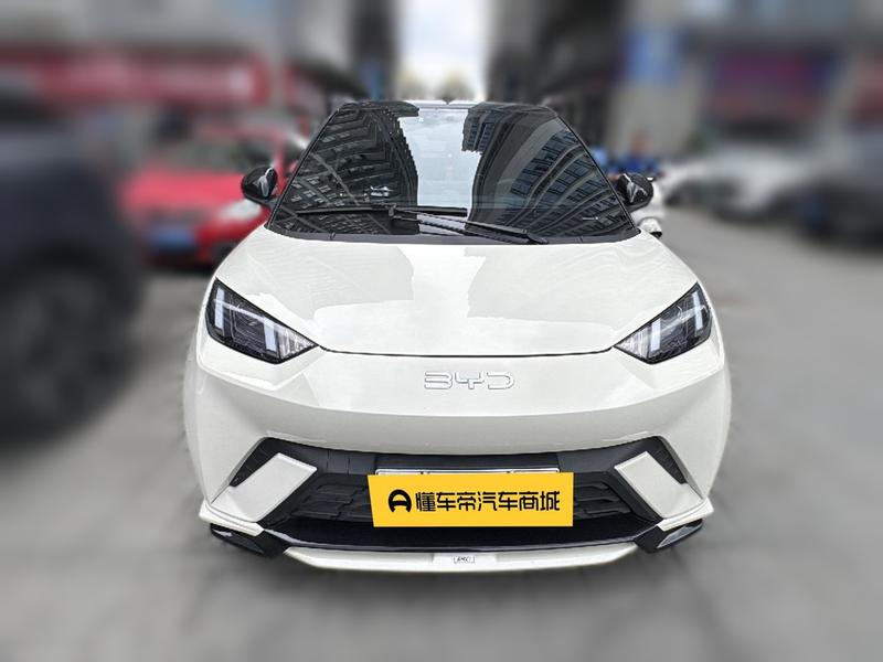 BYD Seagull, 2024 — фото 2 из 12