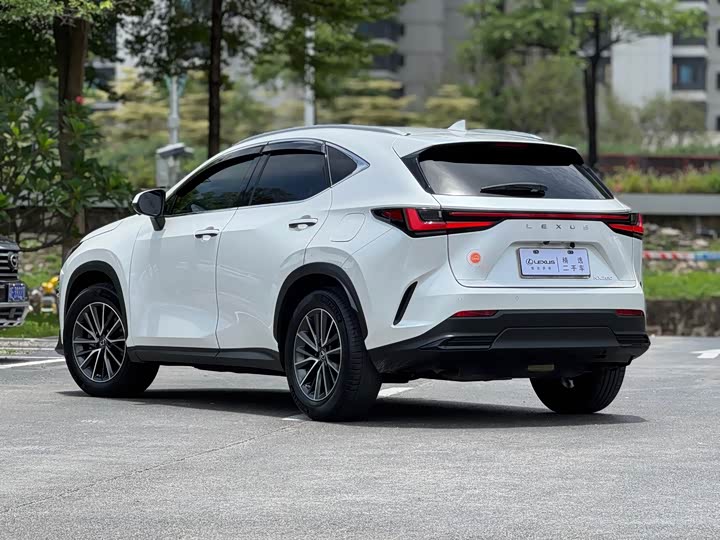 Lexus NX, 2022 — фото 4 из 9