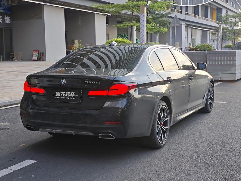 BMW 5 Series, 2021 — фото 6 из 10