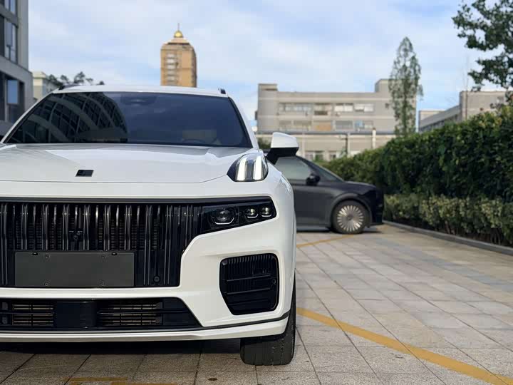 Lynk & Co 09 EM-P Hybrid, 2022 — фото 3 из 9