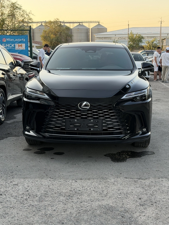 Lexus RX, 2025 — фото 2 из 2