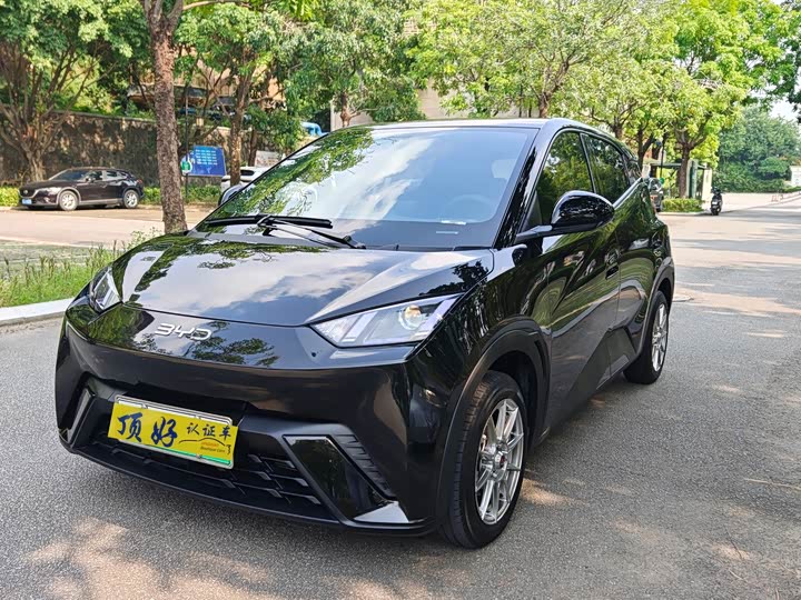 BYD Seagull, 2024 — купить в Москве под ключ