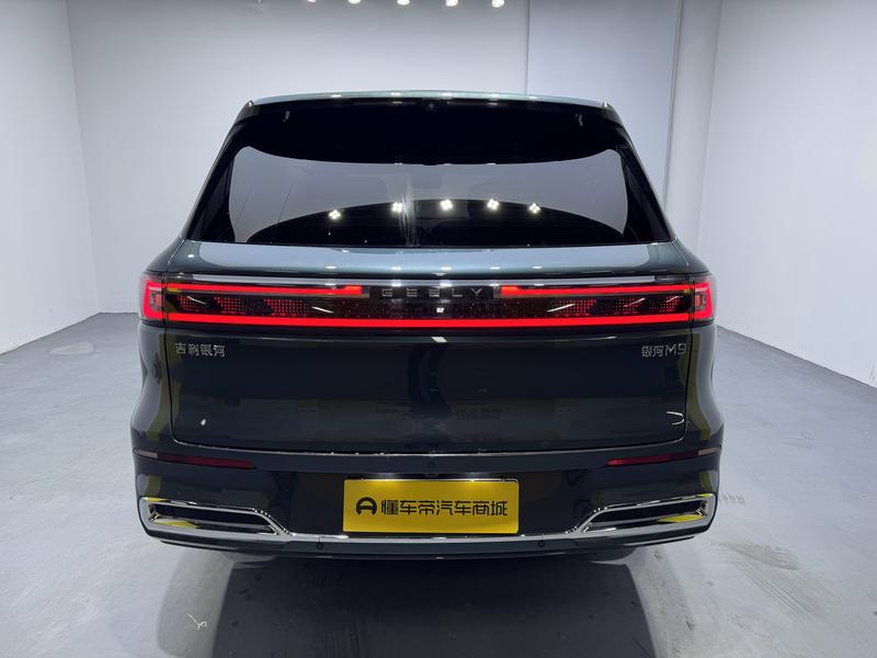 Geely Galaxy M9, 2025 — фото 6 из 12