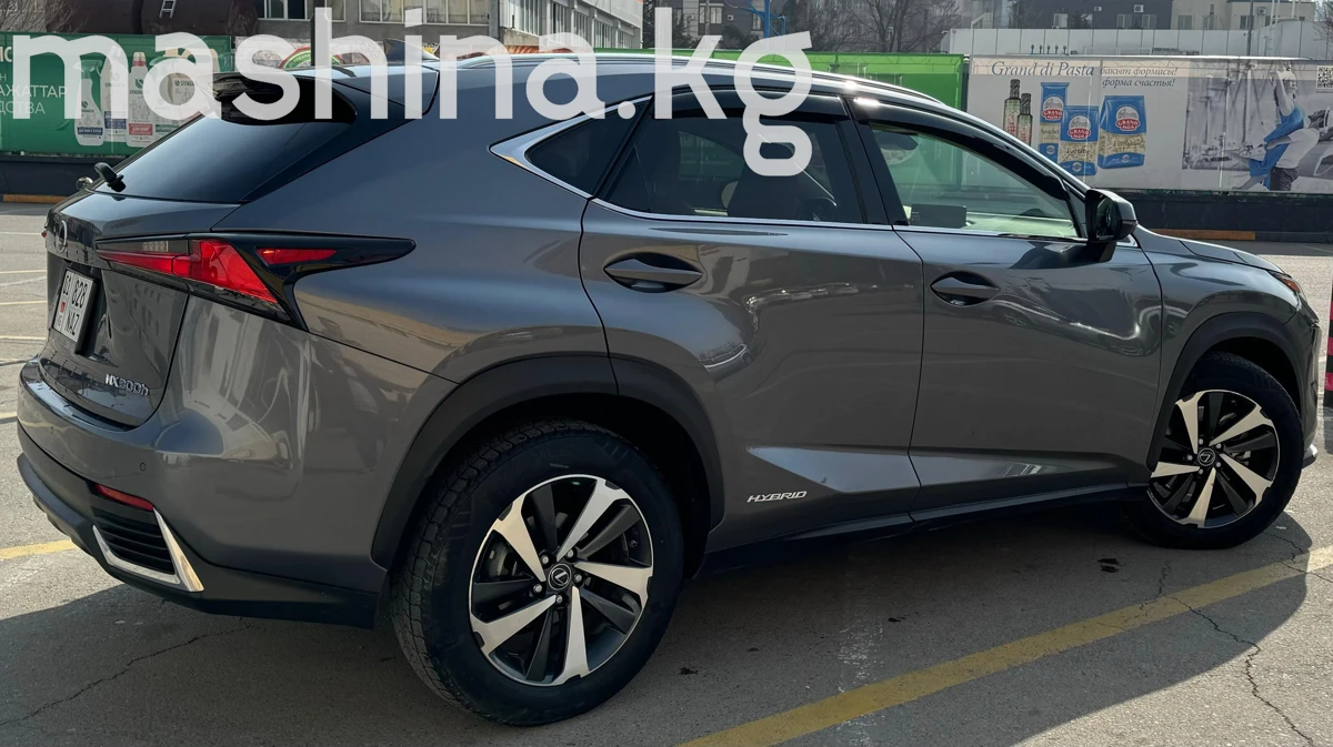 Lexus NX, 2021 — фото 6 из 6