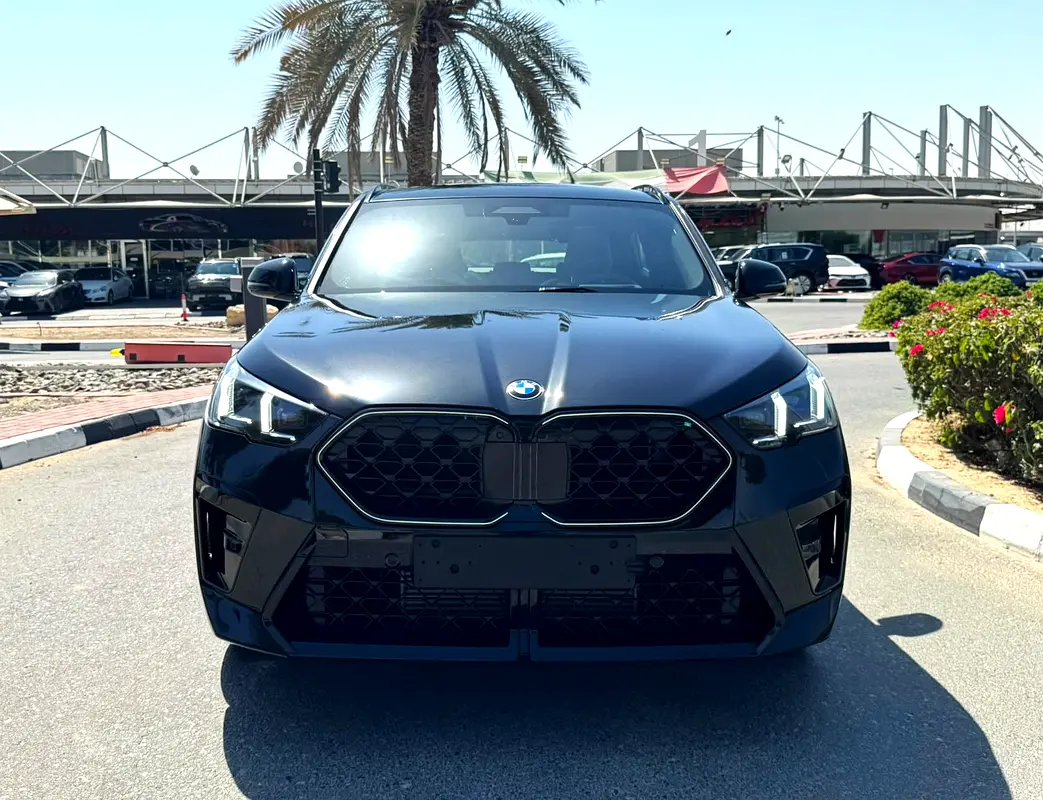 BMW X2, 2024 — фото 2 из 10