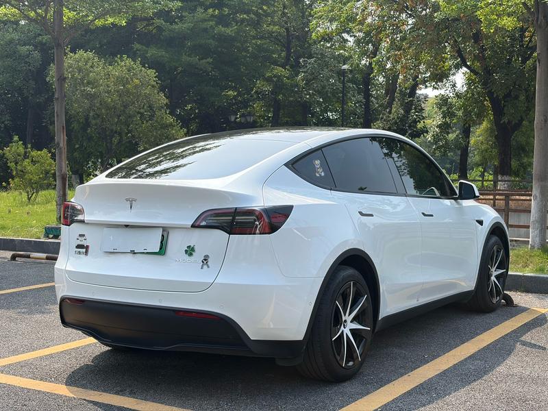 Tesla Model Y, 2023 — фото 7 из 12