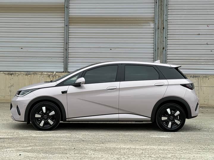 BYD Dolphin, 2025 — фото 3 из 9