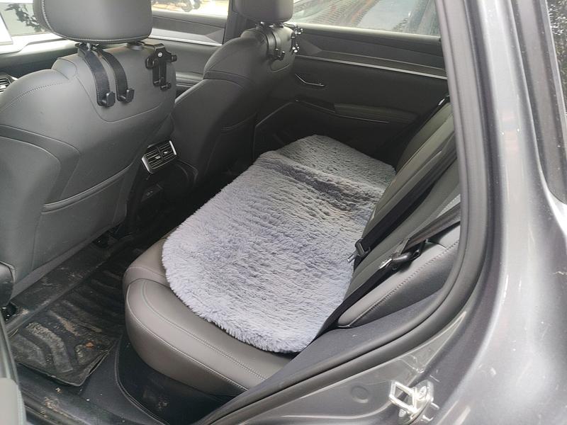 BYD Song Pro Hybrid, 2025 — фото 12 из 12