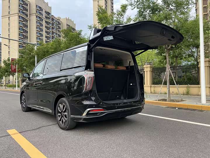 Hongqi HQ9 Hybrid, 2025 — фото 7 из 9