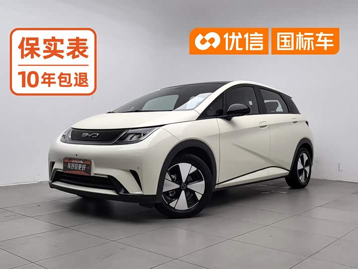 BYD Dolphin, 2023 — купить в Воронеже под ключ