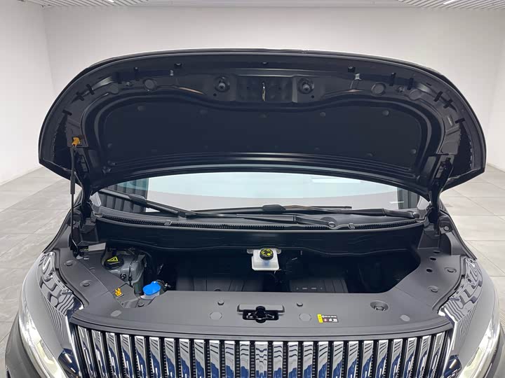 Wey 80 Hybrid, 2025 — фото 9 из 9