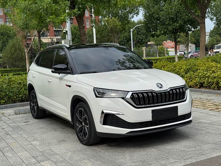 Skoda Kamiq, 2022 — фото 3 из 9