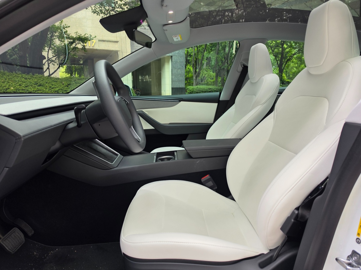 Tesla Model Y, 2025 — фото 8 из 12