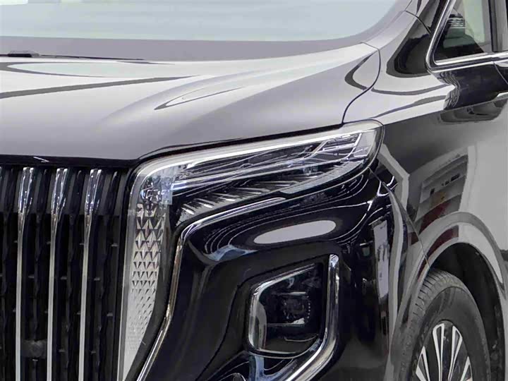 Hongqi HQ9 Hybrid, 2024 — фото 3 из 9