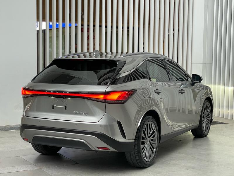 Lexus RX Hybrid, 2023 — фото 4 из 10