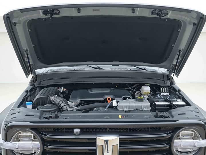Tank 300, 2024 — фото 7 из 9